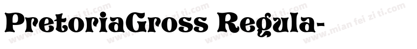 PretoriaGross Regula字体转换